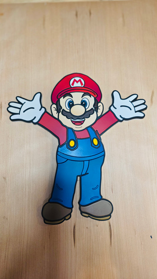 The Plumber Video Game Wall Art