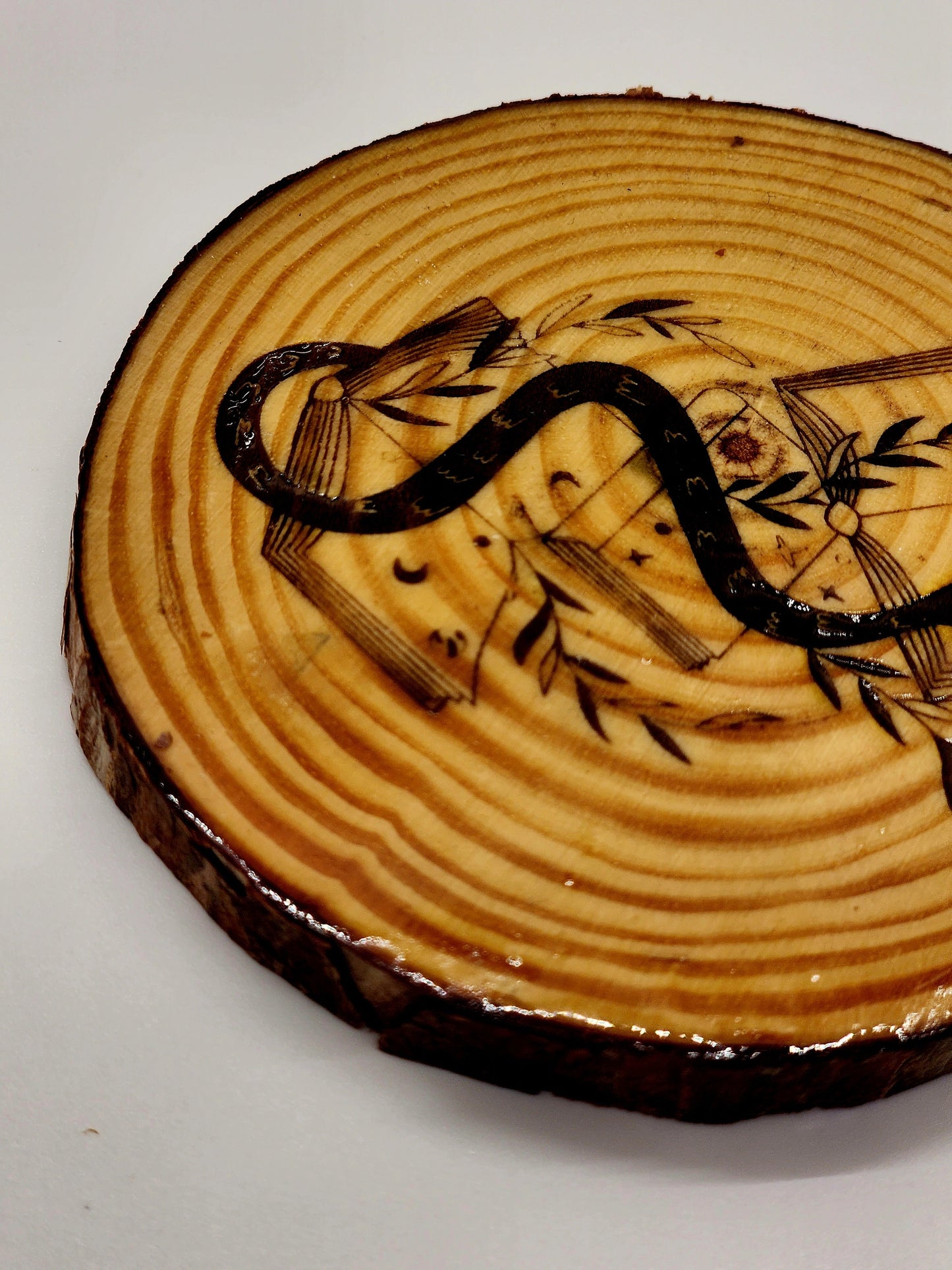 Snake Book Lover Wooden Live Edge Coaster